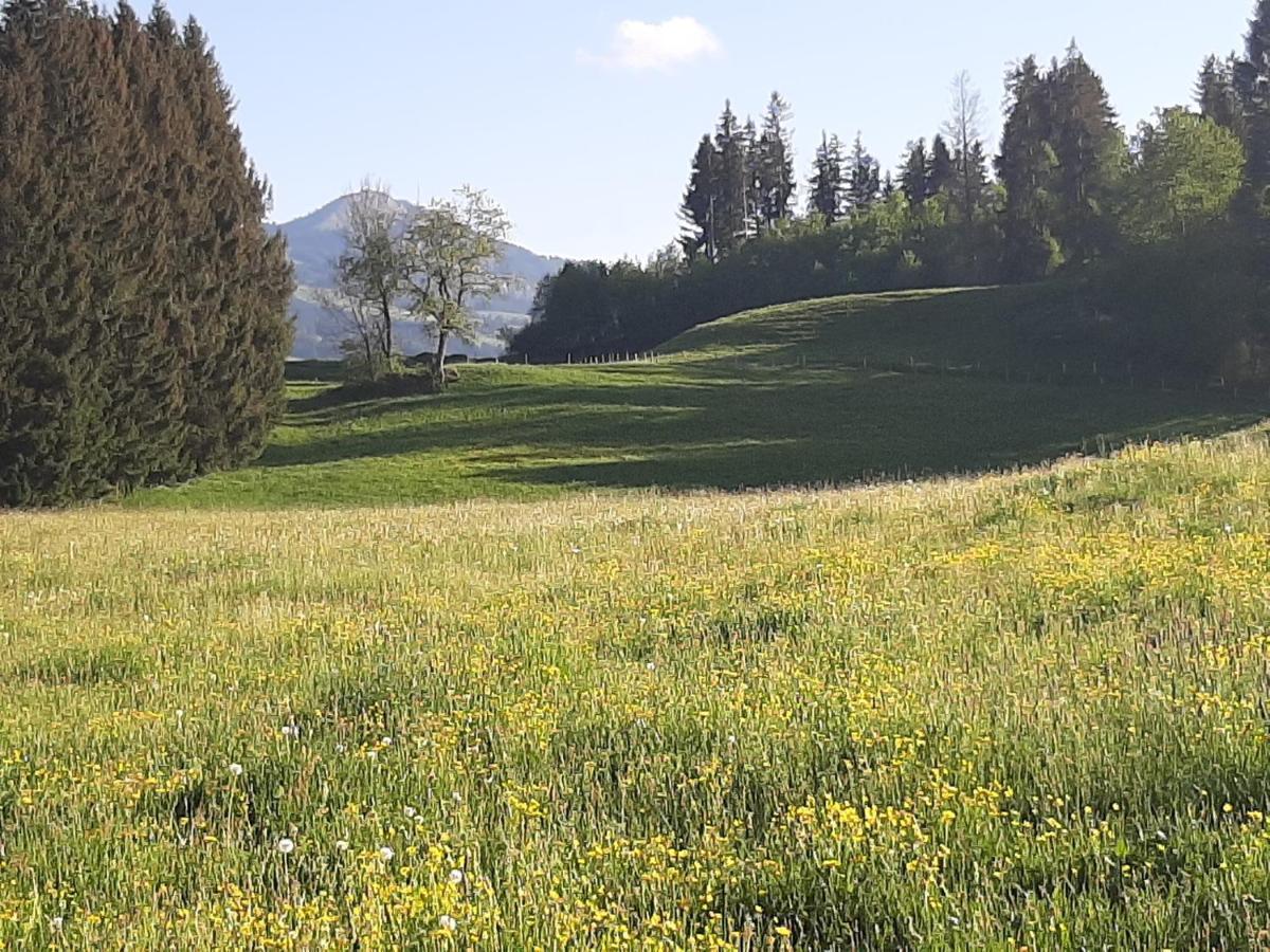 Traumgarten Allgaeu Rettenberg Zewnętrze zdjęcie