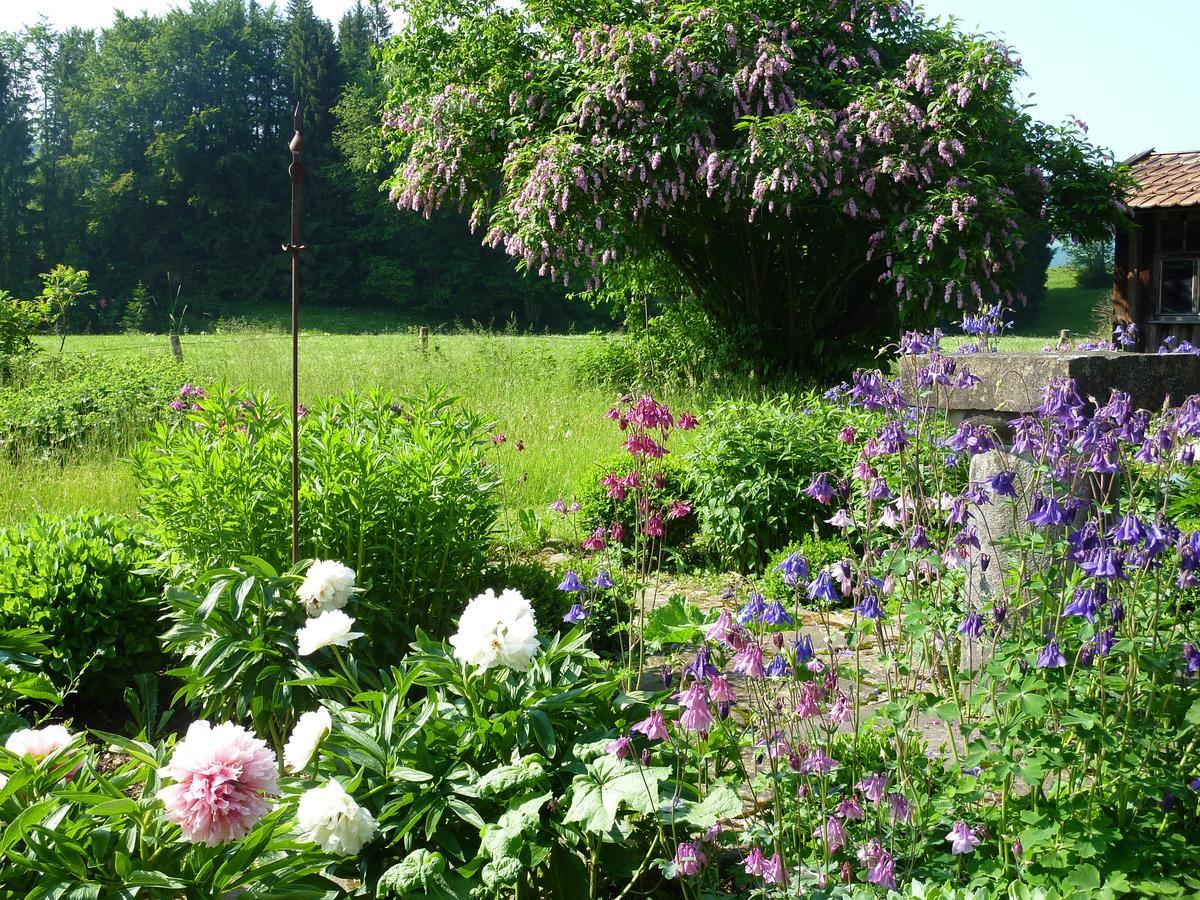 Traumgarten Allgaeu Rettenberg Zewnętrze zdjęcie